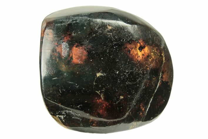 Polished Chiapas Amber ( g) - Mexico #274404